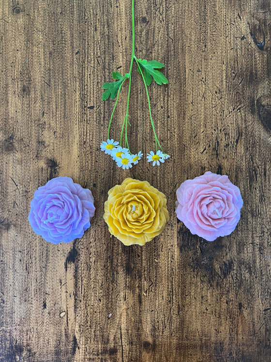 'In Bloom' Beeswax Candles - Mother's Day Collection